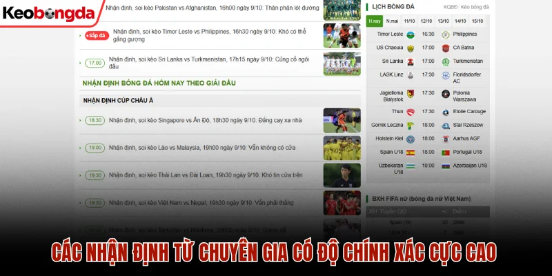 Các nhận định từ chuyên gia có độ chính xác cực cao