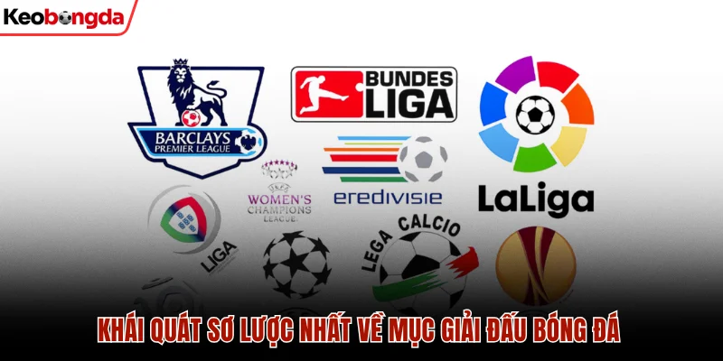 Chuyên mục bao quát nhiều giải đấu kịch tính và thu hút